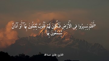 صوت خاشع ومريح للقارئ طارق محمد نعمة الله سورة الحج