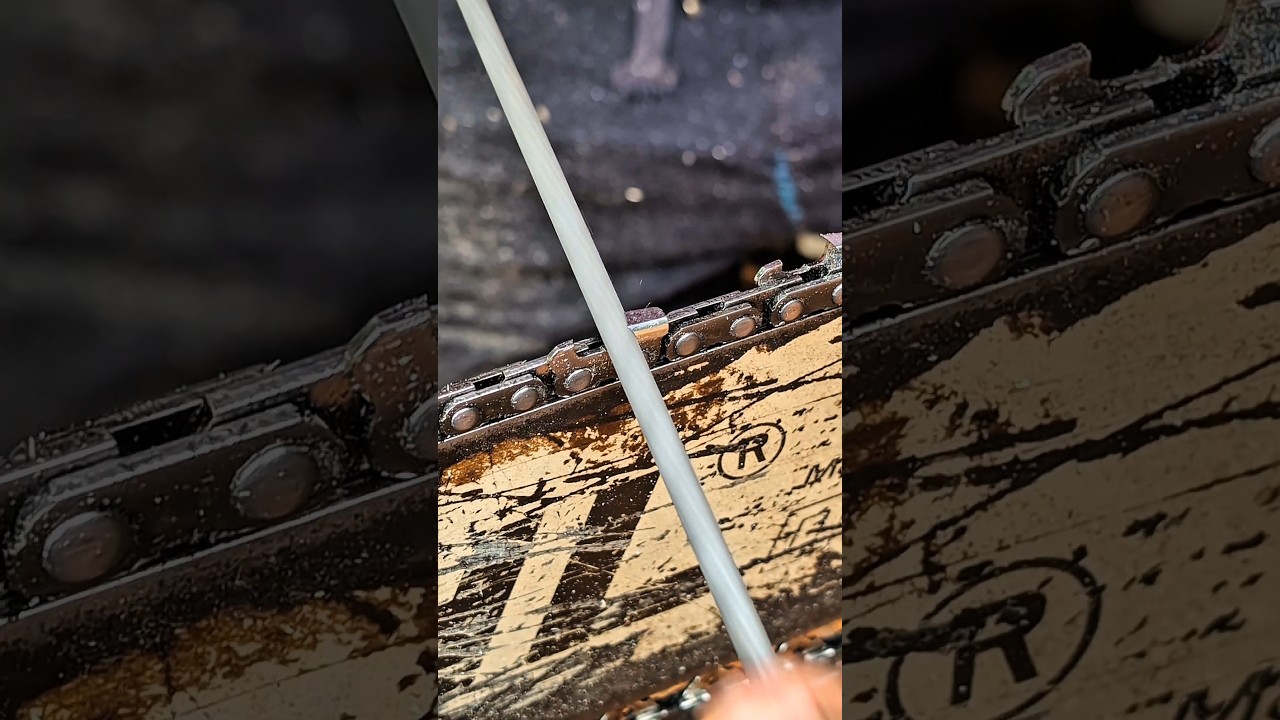 ¿Cuántas veces debo pasar la lima por cada diente de la cadena de mi motosierra? 🤔 #chainsaw #asmr