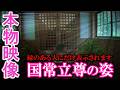 ⚠️クニトコタチノミコト様が降臨しました※もし逃したら二度とありません※お姿を見られた人は強運。次々と良いことが起こり始めます ｜高千穂秘境・秋元神社遠隔参拝472