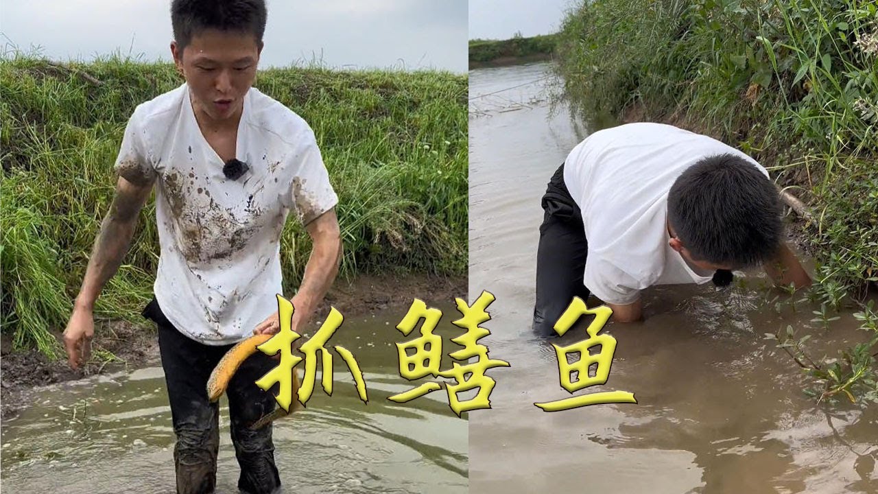 鈴铛壹響，鳝魚8兩#农村生活 #搞笑 #熱門 #大魚 #fishing #outdoors #snake