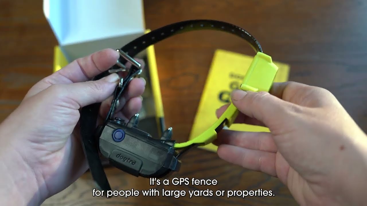 DOGTRA GPS FENCE Review by Von Jakoba