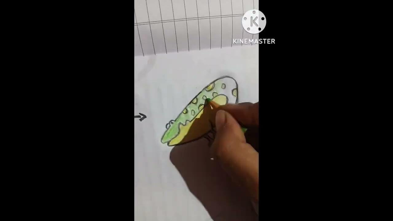 How to draw food chain Biology Diagrams