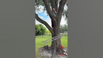 Maui Wowie-trend 🌴🌺