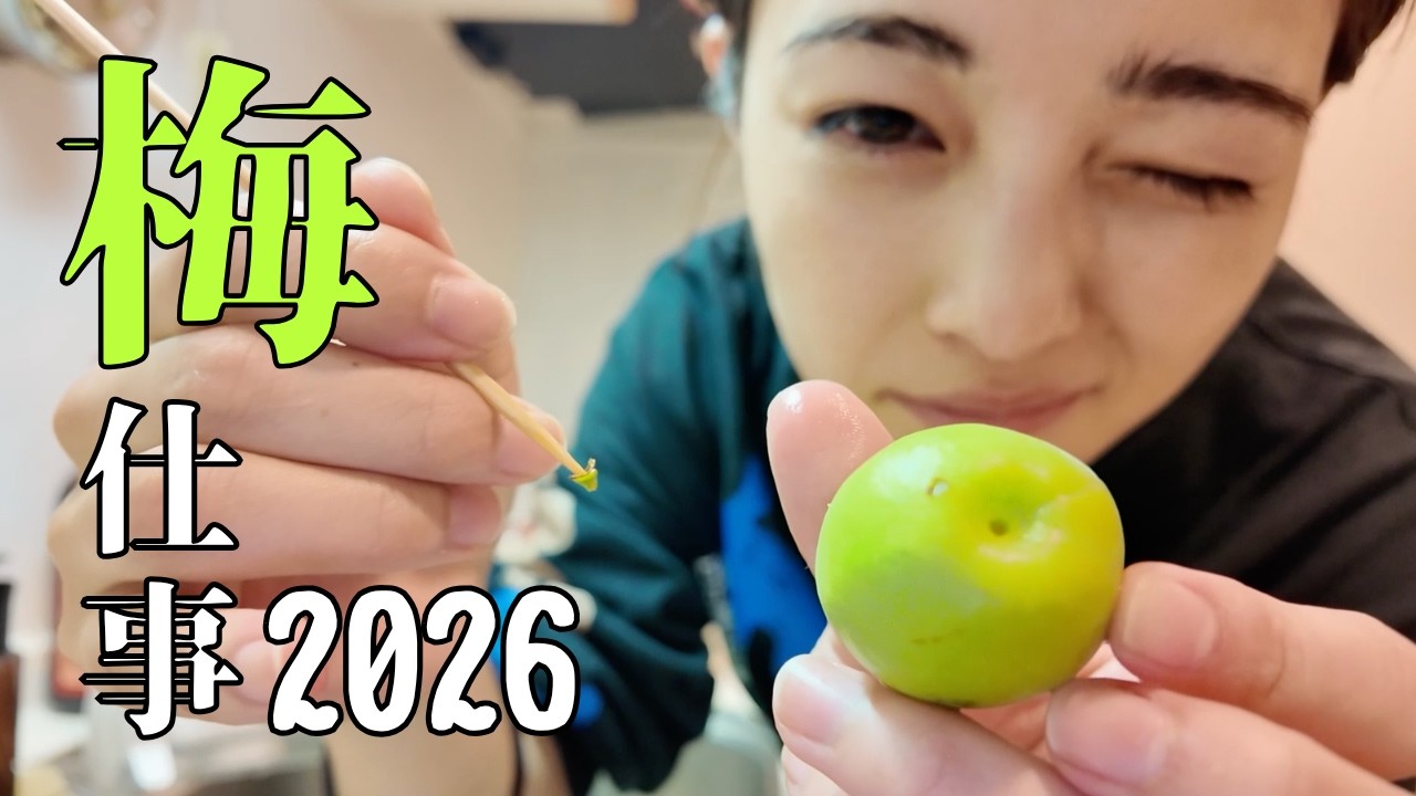 【梅仕事】毎年恒例！5kgの青梅で今年もせっせと仕込みました！完成が待ち遠しい！