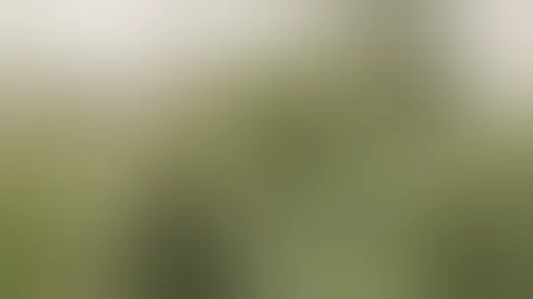 Fohse | Success Grow