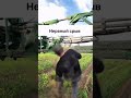 Вечные отговорки-не строят вашего будущего, а вот дисциплина и и решение-строит.