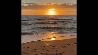 Tr - Shoreline Sunrays (Summer Hit 2026 🌊🔥)