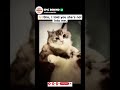 🐈Bro,I told you she’s not into me.
