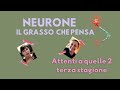 IL CERVELLO PRODUCE IL SUO COLESTEROLO? SCOPRI COME SONO FATTI I NEURONI E COME FUNZIONANO