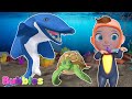 Baby Shark  |  Bubbles Nursery Rhymes | Sea animals for kids