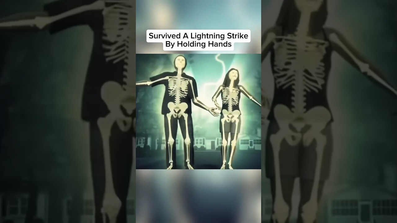 Пережил нападение аллигатора, ткнув ему в нос 🤯