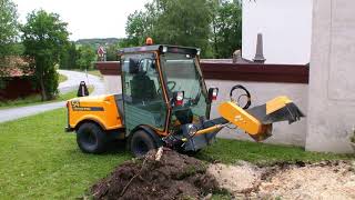 Tree Removal Service Washington NC | Tree Removal and Trimming Services
