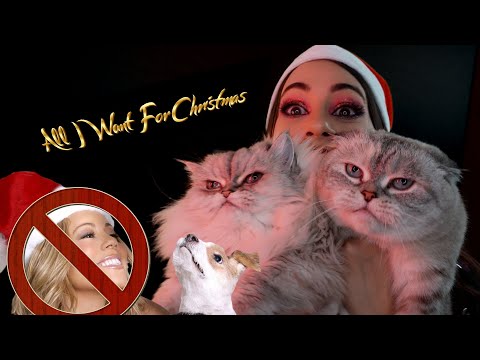 ALL I WANT FOR CHRISTMAS IS METAL AND CATS - Mariah Carey Cover
