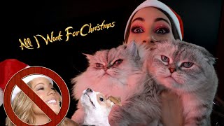 ALL I WANT FOR CHRISTMAS IS METAL AND CATS - Mariah Carey Cover