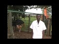 Mwitu Wa Nicko by Nyaiika M.Mutisya(OFFICAL VIDEO) Mp3 Song