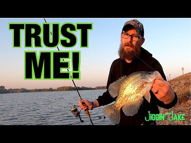 BIG CRAPPIE FROM THE BANK - This Rig WILL Help YOU Catch