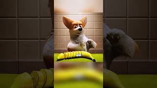 Martial arts corgi challenges fierce dog king #anime #foryou #senku #animeedit