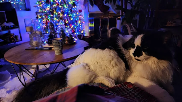 A flawless Christmas Eve