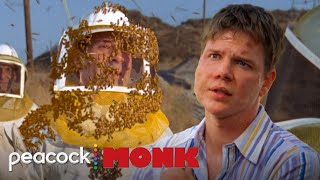 Monk Solves The Case Of The Bee Killer | Monk