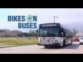 Bikes on Buses - Հեծանիվները Ավտոբուսների վրա