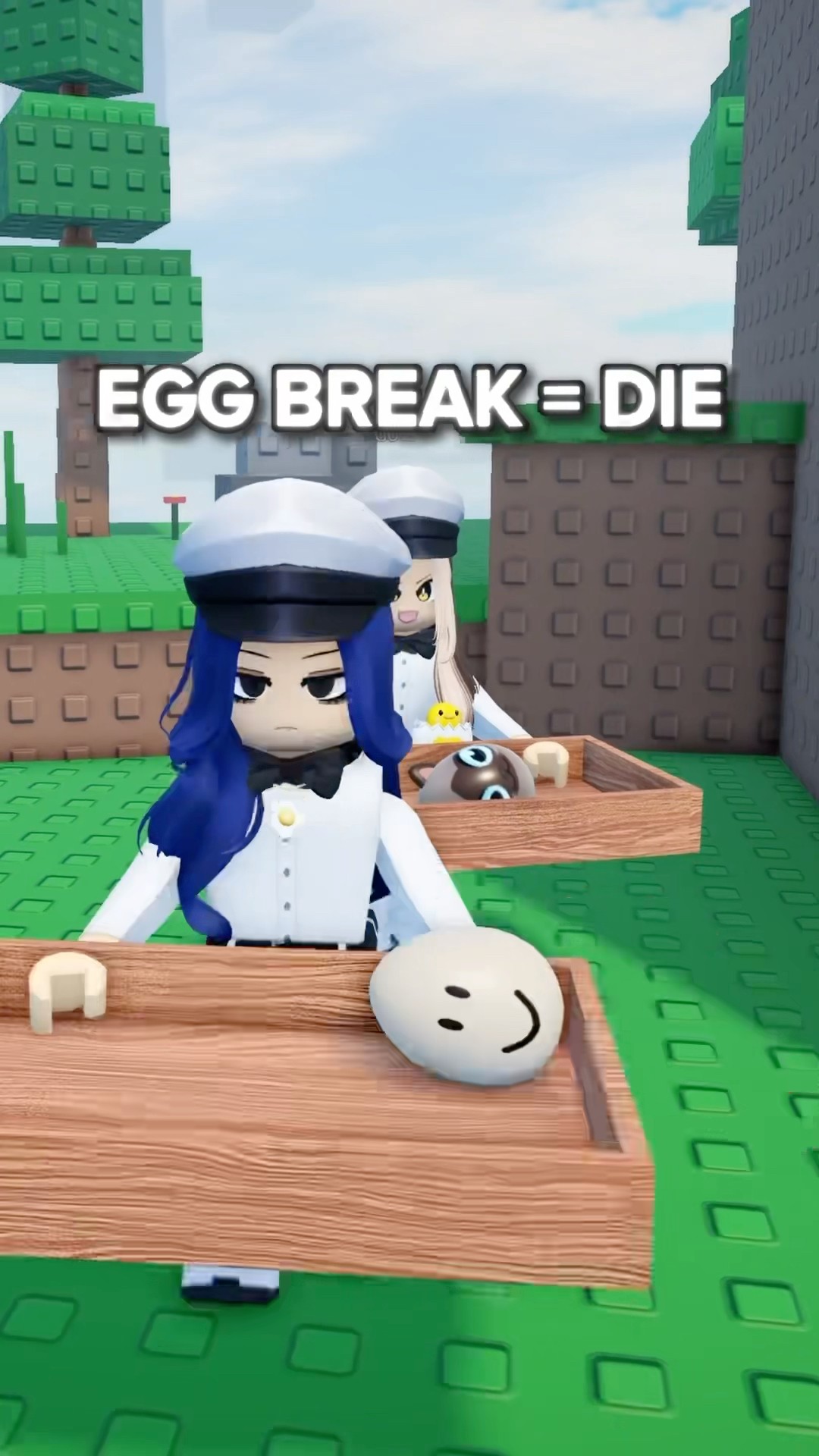 Don’t Break The Egg ?