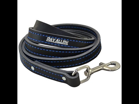 leather-dog-leashes-vs-nylon-dog-leashes-vs-biothane-dog-leashes