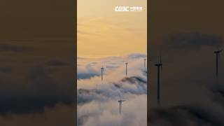 Ceec Version Of Yungong Xunyin, Readygo