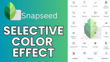 How to Do Selective Color in Snapseed 2024?