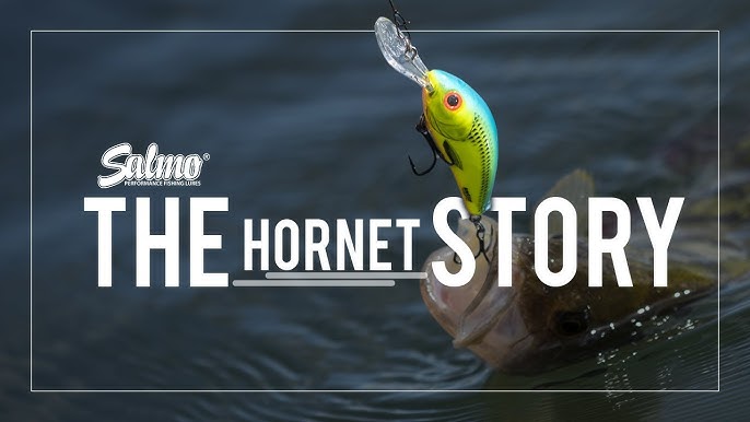 Jason Mitchell's Salmo Hornet Tweak for Big Walleye 