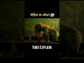 Wolf or woman?😱 #shorts #ytshorts #movieexplainedinhindi