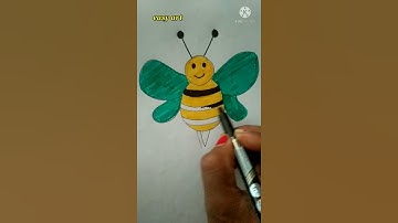 How to Draw a Bee Step by Step Drawing Tutorial