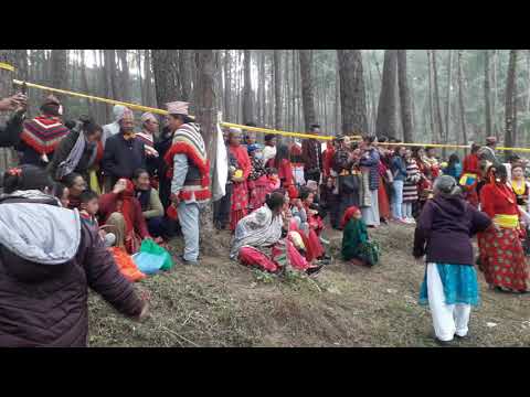 Sakela dance