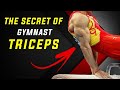 How Gymnasts have Such BIG TRICEPS? (Secret Revealed!)