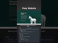 ✨ Pony Website