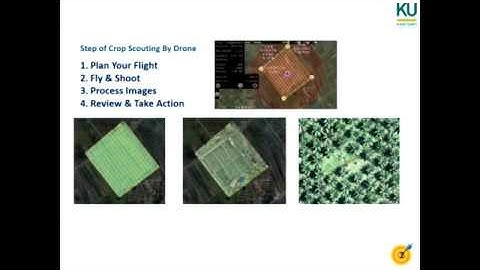 Crop Scouting By Drone and Image Analysis and Interpretation