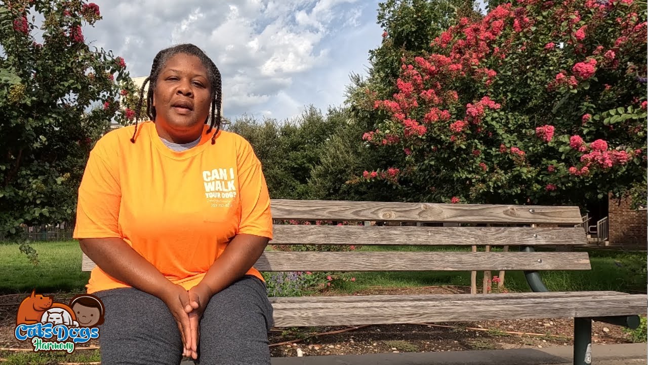 BARK PARK AT FIRST FLIGHT:  saddest dog park in DFW 