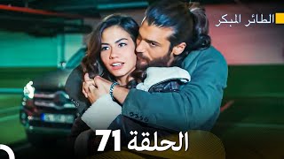 مسلسل الطائر المبكر الحلقة 71 (Arabic Dubbed)