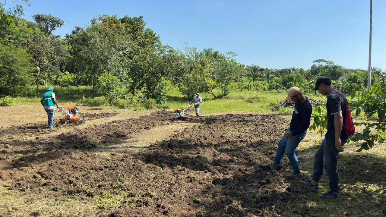 Dia de trabalho no terreno 