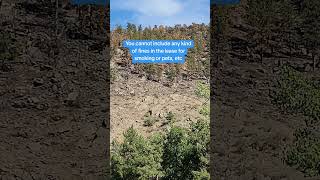 How Colorado Tenant Laws Raise Rents #shorts