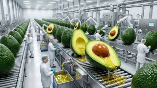 Inside the Modern Avocado Oil Factory: From Farm to Bottle (Full Process)