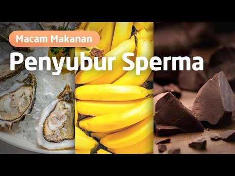 BUKAN TOGE!! INILAH 4 MAKANAN PENYUBUR SPERMA YANG SEBENARNYA!