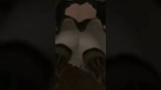 Under The Skirt of The Iana Elite Rainbow Six Siege