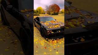 Dodg Shalenger Srt V8 Super Charge