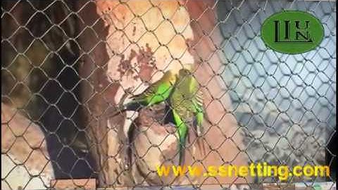 parrot netting, parrot cage mesh, stainless steel parrot fence netting
