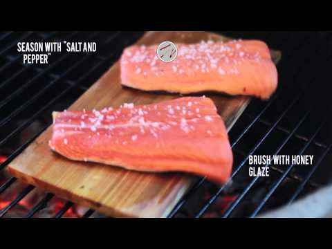 Cedar planked Salmon | Ugrill it