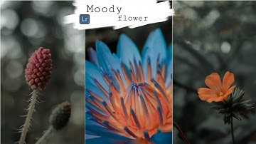 How to edit moody flowers photos | Lightroom mobile | Editing tutorial