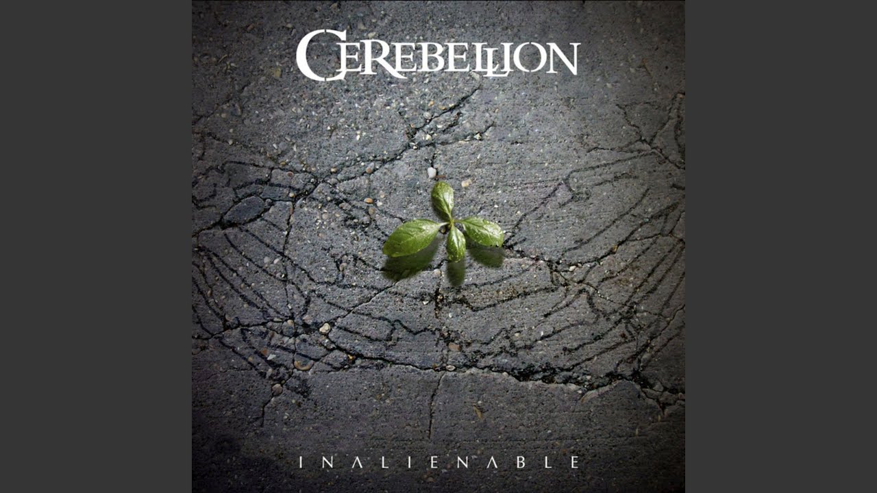 Watch Inalienable on YouTube Watch Inalienable on YouTube
