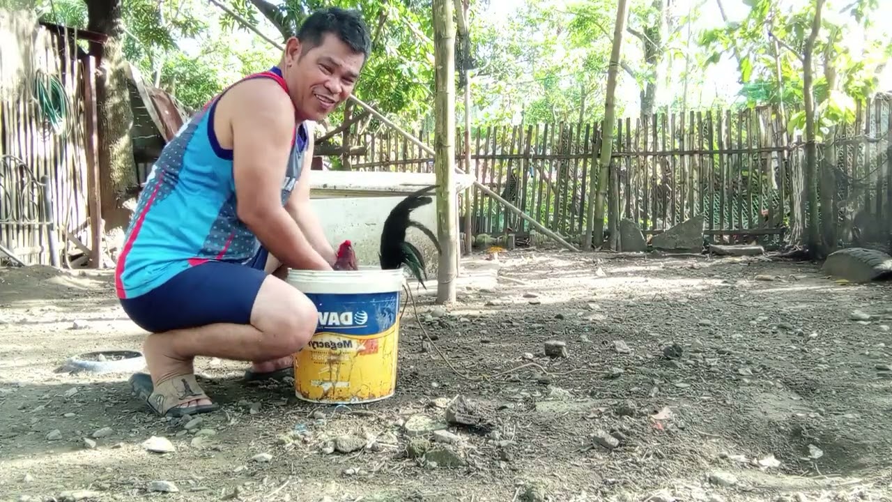 PALIGO NG FGHTING COCK AND DOGGIE 2026