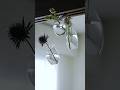 花が浮かぶように揺れる、吊り下げ花瓶【鹿熊生活】 #shorts #吊り下げ花瓶 #花のある暮らし #flowervase