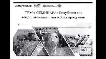 Инкубация яиц водоплавающих птиц и сбыт продукции